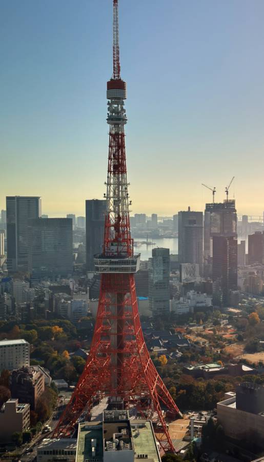 New Blog - 第1張圖 New Blog